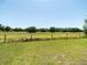 Picturesque backyard with wooded view at 726 Eagle Landing Blvd, Winter Haven, FL 33880