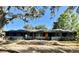 Charming single-story home with a modern exterior, painted in dark grey with an orange front door, under a shady tree at 3465 Peacock Ln, Mulberry, FL 33860