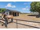 Horse on this picturesque horse property featuring a paddock and barn at 25601 Hutcheson Ln, Sorrento, FL 32776