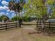 Grassy acreage with mature trees and a black fence along the entrance at 4145 Willis Rd, Mulberry, FL 33860