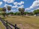 Expansive lawn dotted with mature palm trees and a sturdy black fence at 4145 Willis Rd, Mulberry, FL 33860