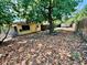 View of backyard featuring a shed, a mature tree and full foliage at 4621 Queens Point Drive, Lakeland, FL 33813