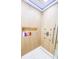 Modern shower with built in niche and multiple shower heads and light accents at 1315 Olympia Park Cir, Ocoee, FL 34761