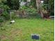 Scenic view of the backyard's lush lawn, offering ample space for outdoor activities at 1529 Indiana St, Orlando, FL 32805
