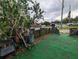 Street-side view of home with small front yard and cars parked nearby at 1529 Indiana St, Orlando, FL 32805