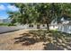 Spacious backyard features privacy fence, a large tree and grassy area at 2415 Brownwood Dr, Mulberry, FL 33860