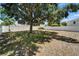 Large backyard with a vinyl privacy fence and mature tree at 2415 Brownwood Dr, Mulberry, FL 33860