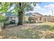 Lush backyard with mature trees, offering shade and privacy at 1480 E Davidson St, Bartow, FL 33830