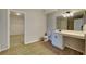 Well-lit bathroom with wood-look flooring, large mirror and walk-in closet at 6918 Lake Eaglebrooke Dr, Lakeland, FL 33813