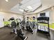 Well-equipped fitness center with treadmills, exercise bikes, and ample workout space at 6229 Raven Run, Lakeland, FL 33809
