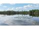 Scenic lake view featuring a charming church steeple in the distance with lush trees and lily pads at 917 Keep Way Loop, Oviedo, FL 32765