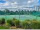 Well-maintained community tennis courts surrounded by lush landscaping at 1705 Plantation Pointe Dr, Orlando, FL 32824