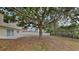A large shady tree anchors the spacious backyard of this home, offering a peaceful, natural setting at 105 Evergreen Dr, Auburndale, FL 33823