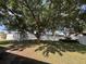 Backyard featuring a large shade tree and white privacy fence at 3210 Se 54Th Cir, Ocala, FL 34480
