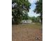 Property backyard filled with mature trees and greenery creating a nature filled setting at 1710 Hamilton St, Bartow, FL 33830