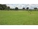 A spacious dog park provides a safe and fun area for pets to play and exercise within the community at 8283 Sw 54Th Loop, Ocala, FL 34481
