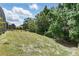 Large grassy backyard with lush trees, perfect for recreation at 2523 Jasmine Trace Dr, Kissimmee, FL 34758