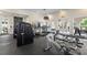Well-equipped fitness center with modern machines, treadmills, and workout equipment for a healthy lifestyle at 13103 Mulberry Park Dr # 833, Orlando, FL 32821