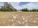 Wide shot of a white home surrounded by a large grass and sand lot with many trees at 24025 Ranch Rd, Astatula, FL 34705