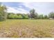 Expansive grassy lot with mature trees providing ample shade and natural beauty at 24025 Ranch Rd, Astatula, FL 34705