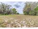 Wide open lot with scattered trees, offering plenty of space for development or recreation at 24025 Ranch Rd, Astatula, FL 34705