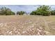 Expansive property features a well-maintained lawn and mature trees at 24025 Ranch Rd, Astatula, FL 34705