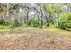 Nature scene with lush hanging moss and trees in a forest setting at 24025 Ranch Rd, Astatula, FL 34705