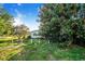 Backyard featuring overgrown lawn, foliage, and the rear of a one-story home at 117 Sw 3Rd Ave, Mulberry, FL 33860