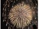 Brilliant gold fireworks exploding in the night sky, creating a dazzling spectacle at 13525 Gorgona Isle Dr, Windermere, FL 34786