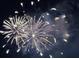 Two sparkling fireworks burst in a beautiful display of light and color against the dark sky at 13525 Gorgona Isle Dr, Windermere, FL 34786