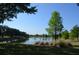 Tranquil pond surrounded by trees and greenery, offering a serene outdoor view at 11578 Ashlin Park Blvd, Windermere, FL 34786
