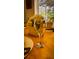 A glass filled with water sitting on a table decorated with floral arrangements and set with silverware at 1142 Mariner Cay Dr, Haines City, FL 33844