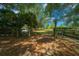 Expansive backyard with a fenced border, showcasing a park-like setting at 7795 Sw 72Nd Ct, Ocala, FL 34476