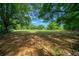 Expansive, sunny pasture shaded by mature trees perfect for outdoor activities and enjoying nature at 7795 Sw 72Nd Ct, Ocala, FL 34476
