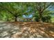 Open backyard space with scattered pine needles and an older white home in the background at 7795 Sw 72Nd Ct, Ocala, FL 34476