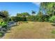 Large backyard with mature landscaping and well-manicured hedges at 2417 Coventry Ave, Lakeland, FL 33803