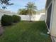 Well-maintained backyard with lush green grass, a mature palm tree, and a white privacy fence at 1087 Jackson St, The Villages, FL 32162