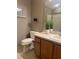 Bathroom featuring a vanity, toilet, decorative grass, and a framed art print on the wall at 1087 Jackson St, The Villages, FL 32162