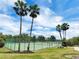 View of fenced tennis court with palm trees, picnic table, and manicured grass at 2161 Longleaf Cir, Lakeland, FL 33810