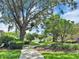 Scenic walkway through lush landscaping, showcasing mature trees and a serene setting at 2161 Longleaf Cir, Lakeland, FL 33810