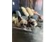 Adorable French Bulldogs lounging comfortably in a cozy living space, adding a touch of charm at 1056 Castle Pines Ct, Reunion, FL 34747