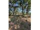 View of a grassy fenced in yard with mature trees at 4266 County Road 691, Webster, FL 33597