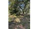 View of a grassy fenced in yard with mature trees at 4266 County Road 691, Webster, FL 33597