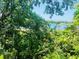 Scenic view of the lake from the home amidst lush greenery and colorful blossoms at 208 Shepard Ave, Dundee, FL 33838
