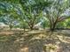Serene backyard shaded by mature trees, offering a peaceful outdoor space at 6702 Brookridge Trl, Lakeland, FL 33810