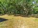 Spacious backyard shaded by mature trees, offering a serene outdoor retreat at 6702 Brookridge Trl, Lakeland, FL 33810
