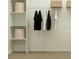 Organized walk-in closet with hanging rods, shelves, and basket storage for optimal space utilization at 703 Peroni Ave, Debary, FL 32713