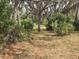 Lush backyard with large trees and plenty of natural shade at 917 Adamson Ct, Lake Alfred, FL 33850