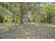 Large backyard with trees at 406 W Valencia St, Lakeland, FL 33805