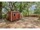 View of the storage shed with a red door and light colored exterior in a backyard setting at 1313 Periwinkle Ct, Lakeland, FL 33811